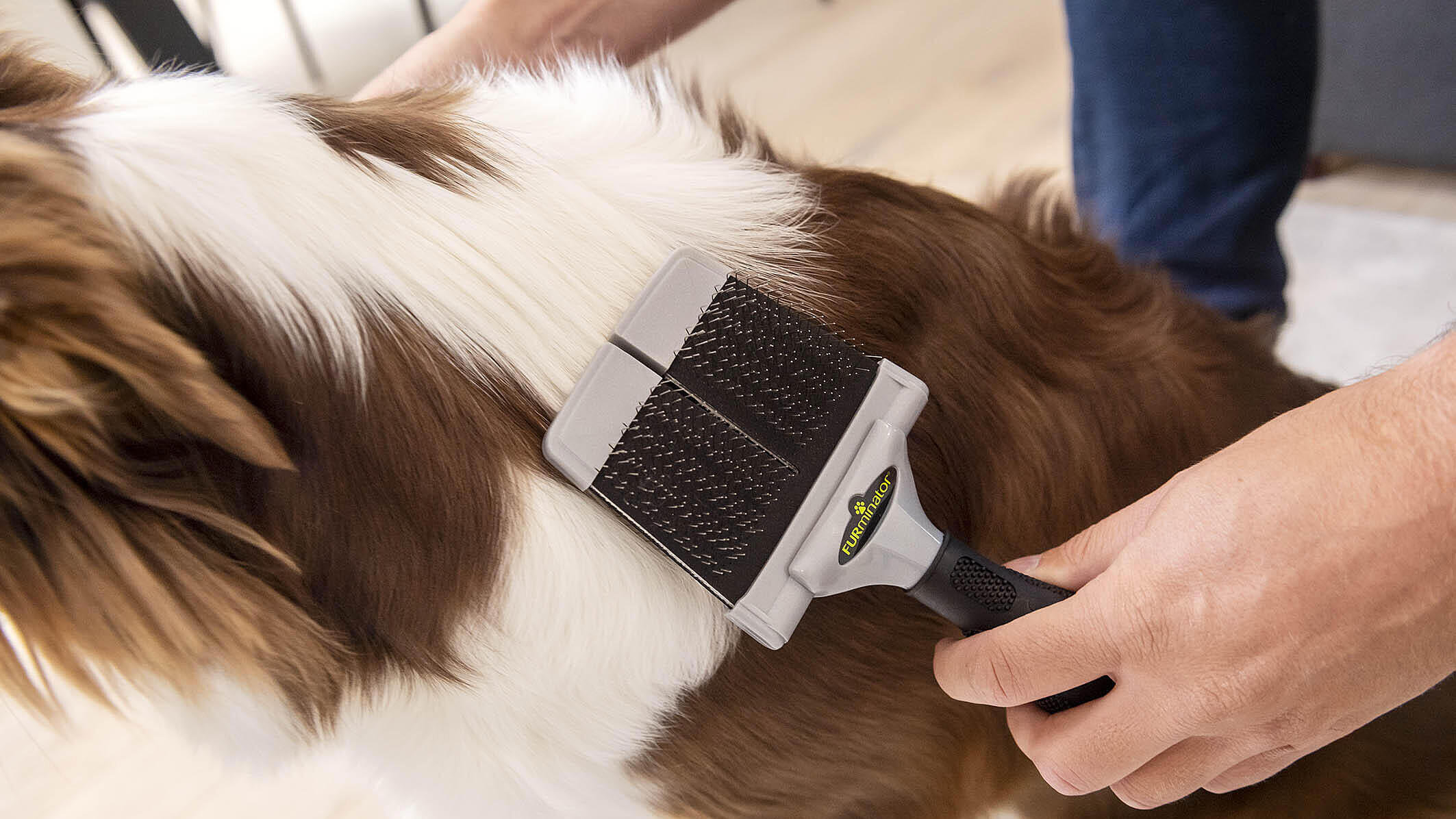 FURminator Curry Comb for Cats & Dogs