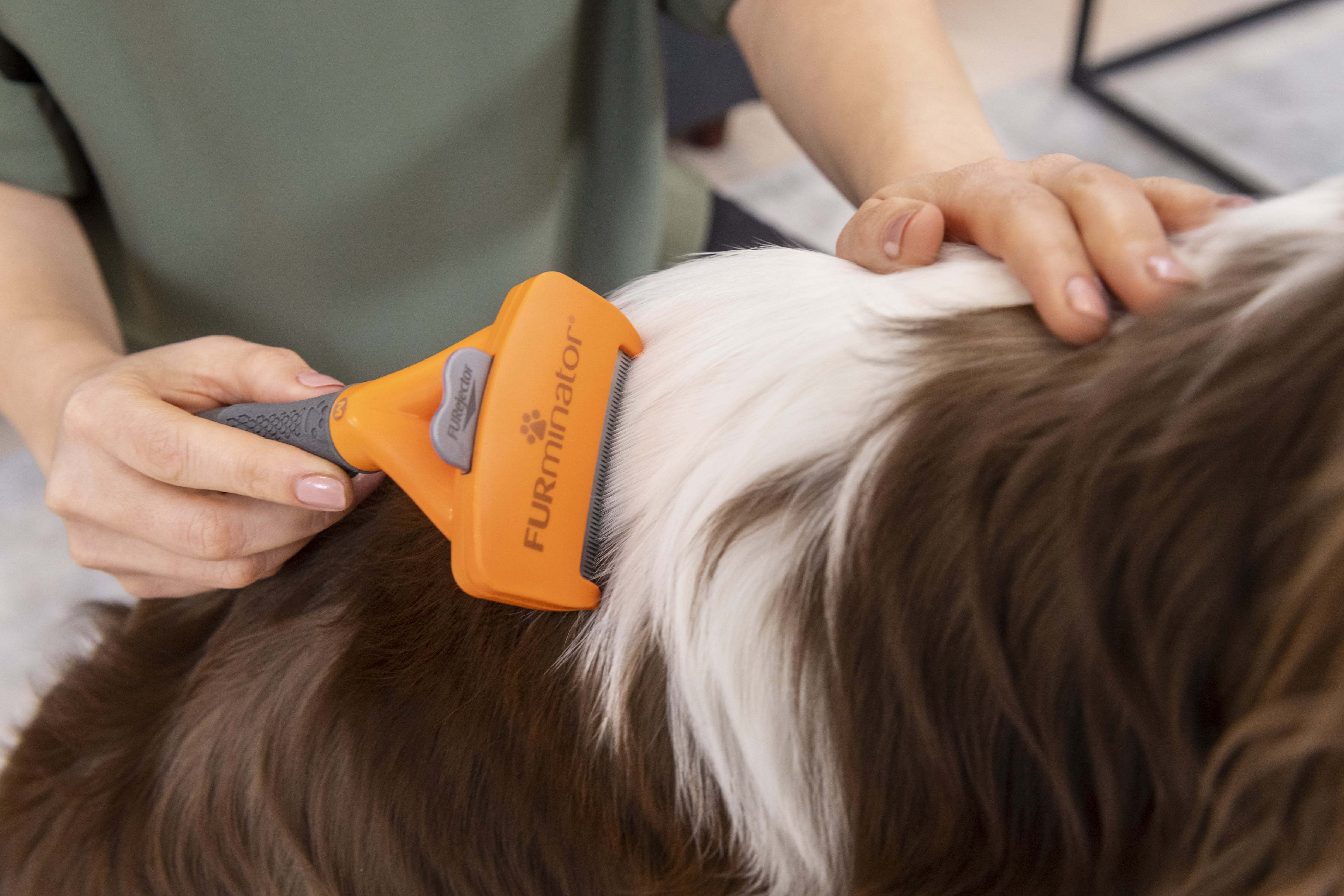 FURminator Undercoat DeShedding Tool, for Medium Dogs, Long Hair 